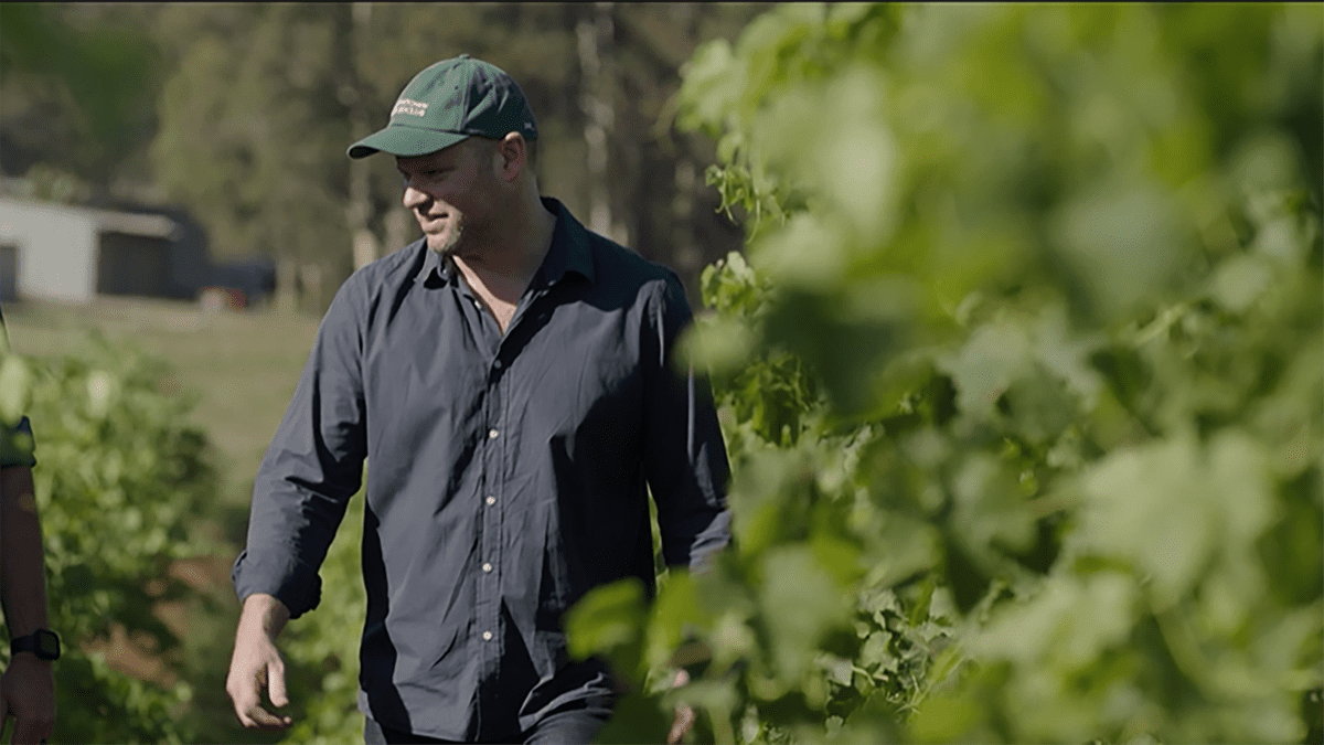 Chris Tyrrell - Tyrrells Wine Vistage member story